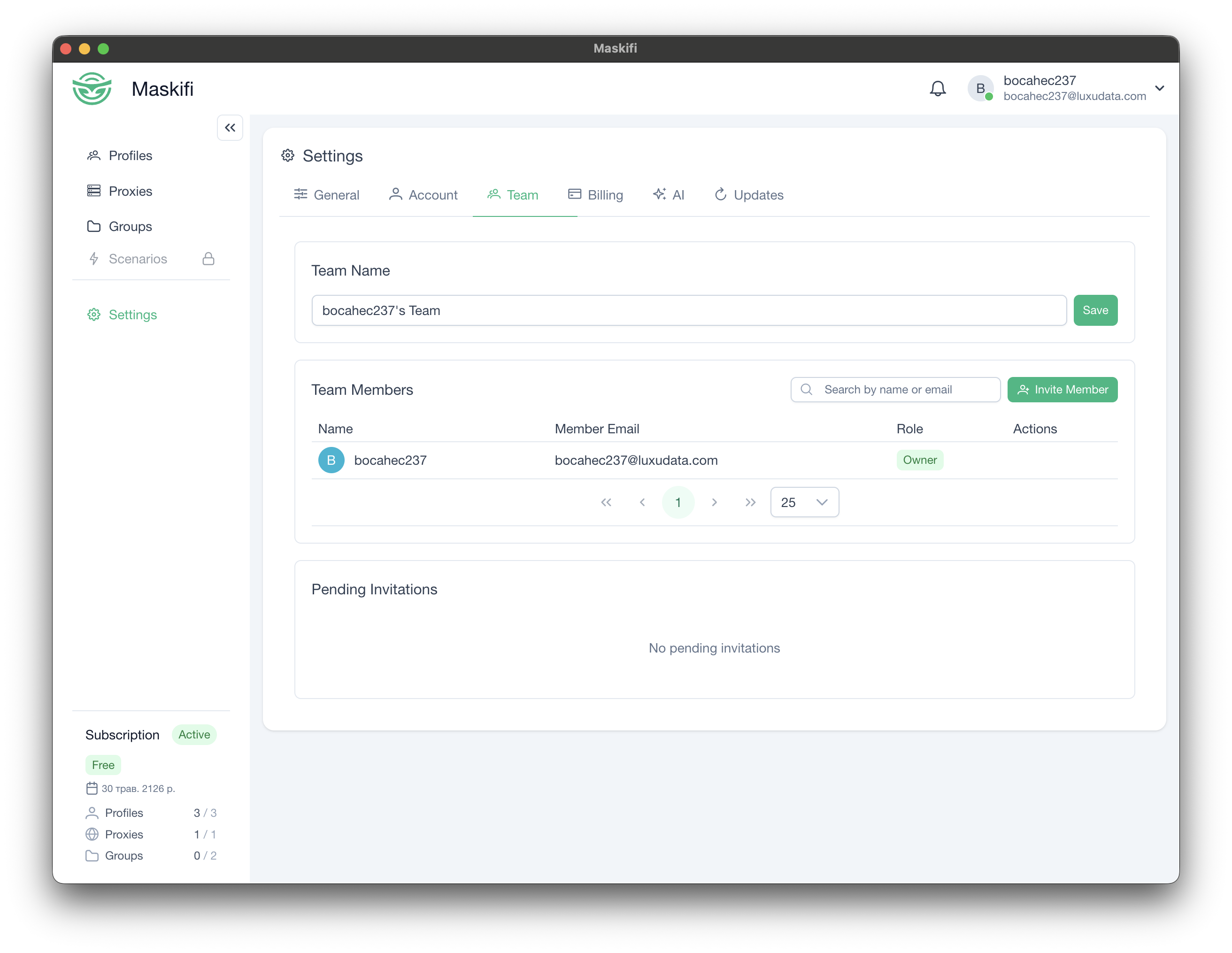 Settings → Team page with the team name, member list, and pending invitations